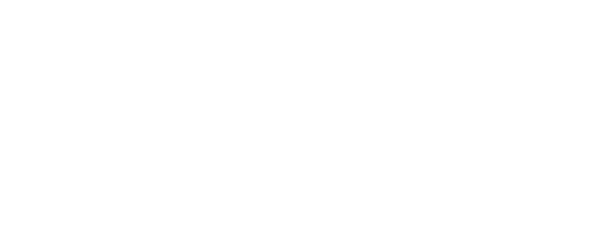 Nitya Naturals Logo